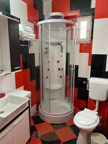 a bathroom with a shower and a toilet at Casa Nicoli in Băile Olăneşti