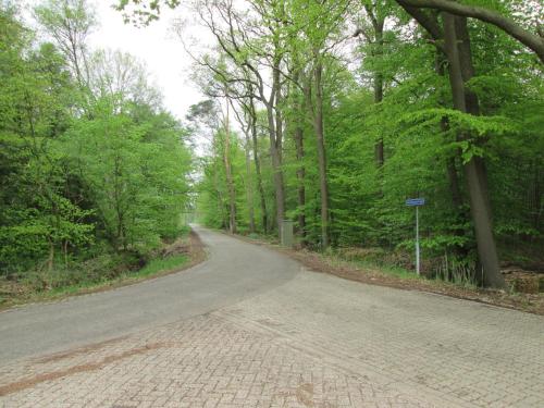 an empty road in the middle of a forest at Veenemaat in Winterswijk