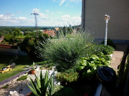 a garden with plants and a view of a building at Manor Villa in Hévíz