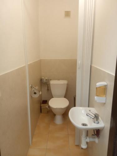 a small bathroom with a toilet and a sink at Pension Fontána Svitavy in Svitavy