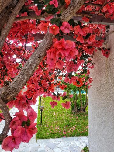 Gallery image of Hotel Kalamitsi Apartments in Preveza