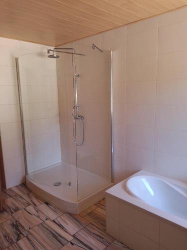 a bathroom with a shower and a bath tub at Ferienwohnung Linke "Grünblick" in Grimma