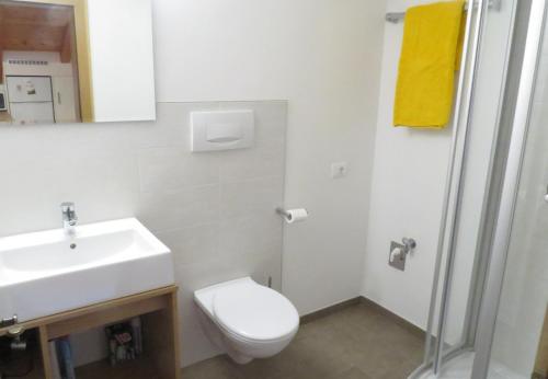 La salle de bains est pourvue de toilettes, d'un lavabo et d'une douche. dans l'établissement Pelegrin 15, à San Vigilio Di Marebbe