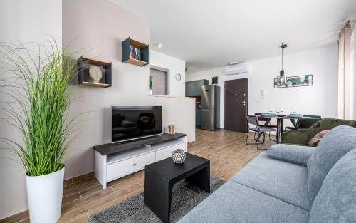 Μια τηλεόραση ή/και κέντρο ψυχαγωγίας στο Apartment Sabbia