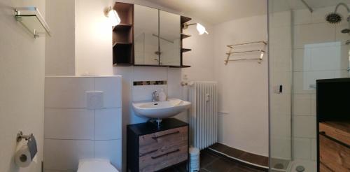 ein Bad mit einem Waschbecken und einer Glasdusche in der Unterkunft Schrammi's Ferienwohnung in Schwanau