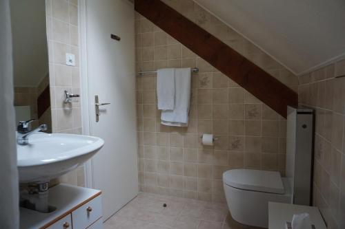 a bathroom with a sink and a toilet and a sink at Studio Maujobia 31 in Neuchâtel