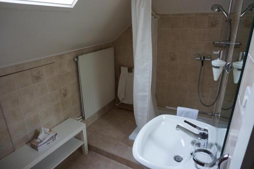 a bathroom with a sink and a shower at Studio Maujobia 31 in Neuchâtel