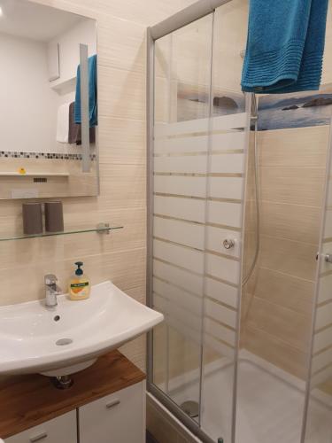 uma casa de banho com um chuveiro e um lavatório. em Fewo Schwarzwaldfreude em Freudenstadt