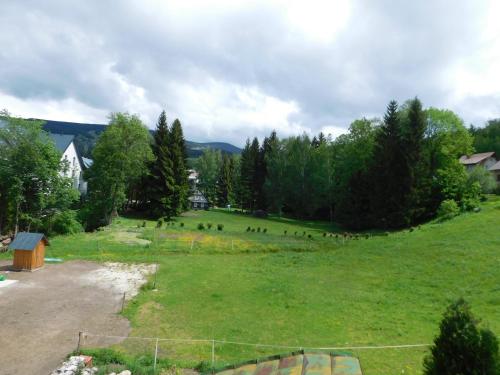 a group of animals grazing in a field at Pension U Mojmíra in Rokytnice nad Jizerou