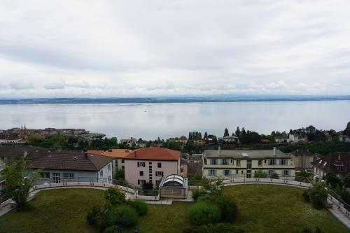 a view of a large body of water with houses at Studio Maujobia 31 in Neuchâtel