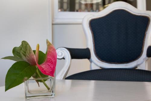 a red flower in a glass vase on a table at Albergo Belsoggiorno in Sanremo