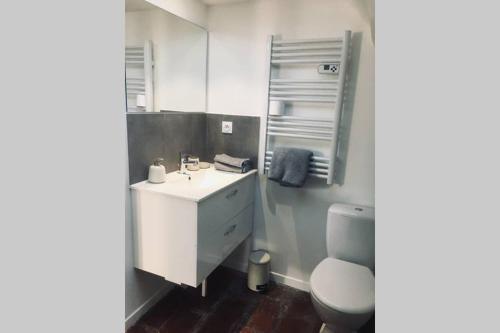 ein Badezimmer mit einem weißen Waschbecken und einem WC in der Unterkunft TONNERRE grand studio de charme au coeur de la ville in Tonnerre