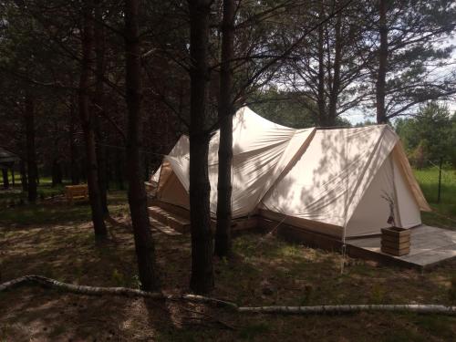 a white tent in the middle of trees at Kompleks Małe Dolomity in Hucisko
