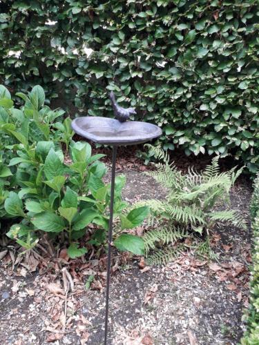 a bird sitting on a bird table in front of a hedge at La Maison Hôte, gîte de charme en bord de Semois in Bouillon