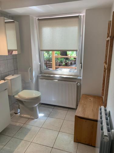 a bathroom with a toilet and a window at Gîte Côté Verre in Meisenthal