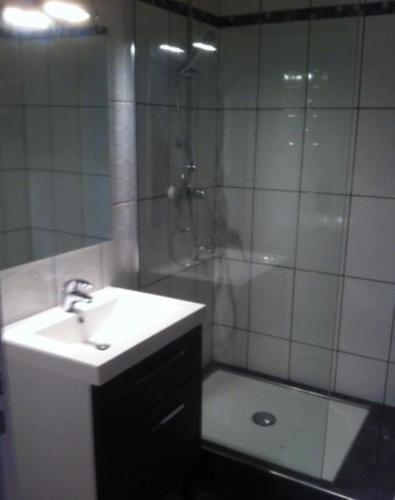 une salle de bain avec un lavabo et une douche dans l'établissement Appartement sympa Arcachon, à Arcachon