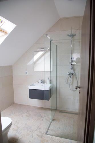 a bathroom with a shower and a sink at Cosbuc Residence & Villa in Sighişoara