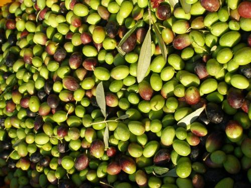 a pile of green and red fruit with leaves at Podere Bellavista in San Gimignano
