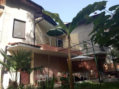 a house with a palm tree in front of it at Villa "Pita" in Kiten