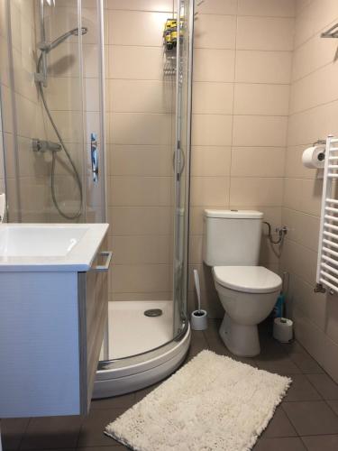ein Bad mit einer Dusche, einem WC und einem Waschbecken in der Unterkunft Ski & Bike apartment Bublava in Bublava