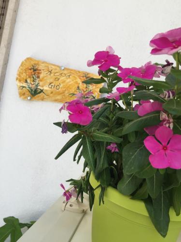Fotografie z fotogalerie ubytování A Casa di Gio v destinaci Marsala