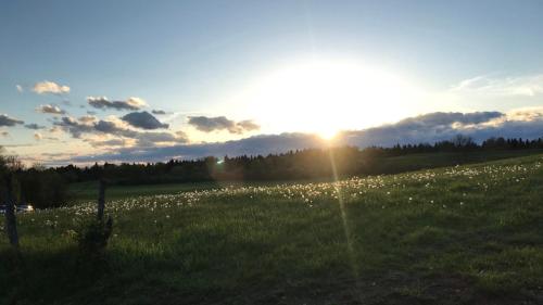 Photo de la galerie de l'établissement La Chambre des Avivés, à Montigny-sur-lʼAin