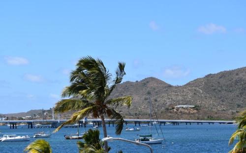 a palm tree and boats in a body of water at Travel Inn Hotel Simpson Bay in Simpson Bay