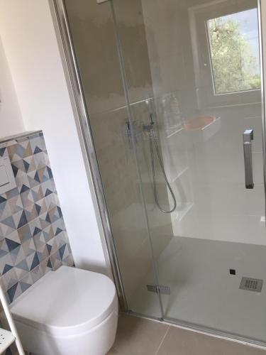 a bathroom with a shower and a toilet at Casa Mary in Brenzone sul Garda