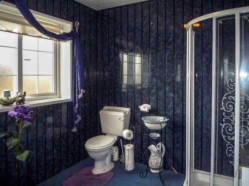 een badkamer met een toilet en een wastafel. bij Ballyheigue Guesthouse in Heirhill