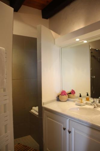 a bathroom with a sink and a mirror at Chambres d'Hôtes La Bastide des Trémières in Saint-Antoine-de-Breuilh