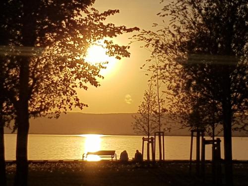 a sunset over a body of water with a bench at Cottage Gols in Gols
