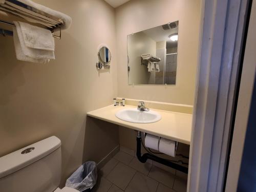 a bathroom with a sink and a toilet and a mirror at Highland Motel in North Sydney