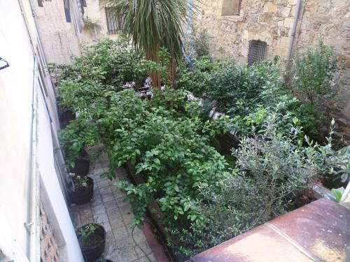 Apartament El Patio del Museo