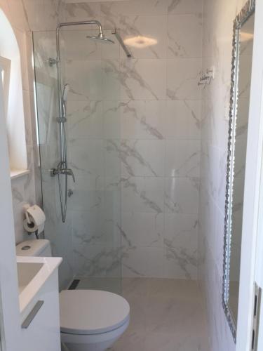 uma casa de banho com um chuveiro, um WC e um lavatório. em Apartment penthouse Orange em Marina