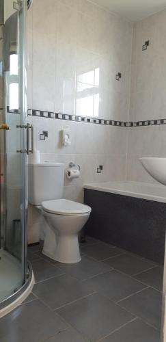 a bathroom with a toilet and a sink and a tub at Corsewall Lighthouse Hotel in Kirkcolm