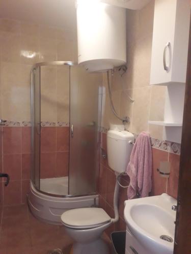 a bathroom with a shower and a toilet and a sink at Luštica Mirište in Lustica