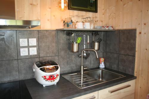a kitchen counter with a sink and a mixer at Gîte de l'océan, 3 étoiles - Les cabanes océanes, Montalivet in Vendays-Montalivet
