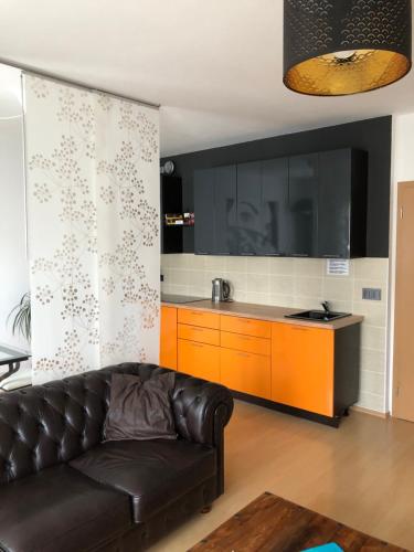 プラハにあるRichie Apartment near Aquaparkのリビングルーム(革張りのソファ付)、キッチン