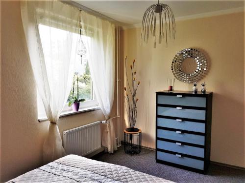 a bedroom with a dresser and a mirror and a window at Grossdorf Ferienwohnung Waldsuite im Harz in Hahnenklee-Bockswiese