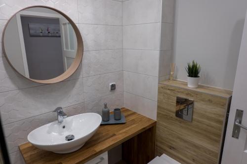 ein Bad mit einem Waschbecken und einem Spiegel in der Unterkunft Miraua 1 in Danzig