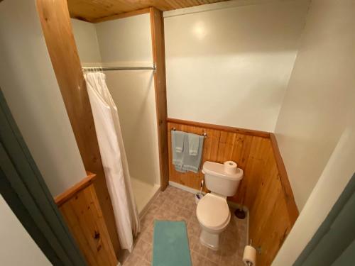 a small bathroom with a toilet and a shower at Historic Hotel Bayview in Stewart