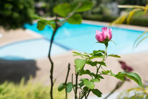 Bazén v ubytování Pen Villa Hotel, Surin Beach - SHA Extra Plus nebo v jeho okolí