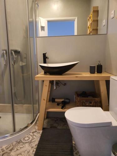 een badkamer met een wastafel, een toilet en een douche bij Casa da Ponte Amarela in Aveiro