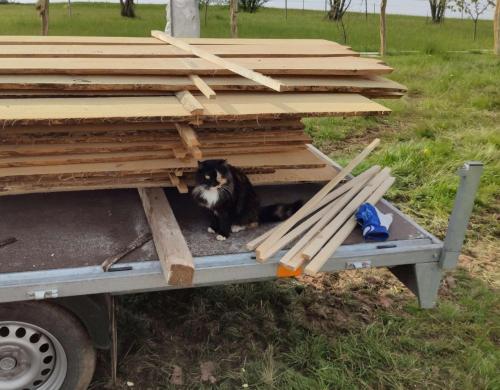 a dog laying in a house on a trailer at Apartmán na statku Červený Kostelec in Červený Kostelec