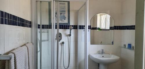 a bathroom with a shower and a sink at Chez Nous Bed and Breakfast & Self Catering in Dundee