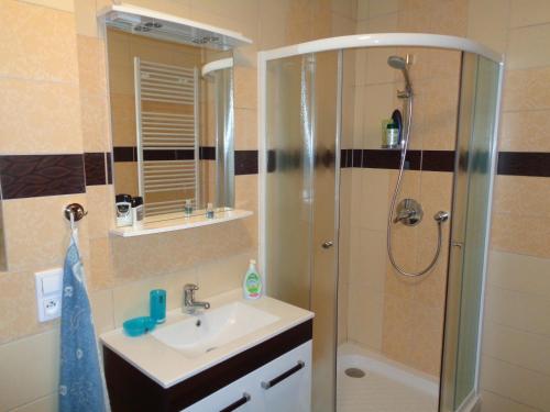 Ένα μπάνιο στο Apartmany Vera