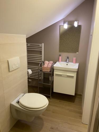 La salle de bains est pourvue de toilettes et d'un lavabo. dans l'établissement B&B Vidmar, Lesce-Bled, à Lesce