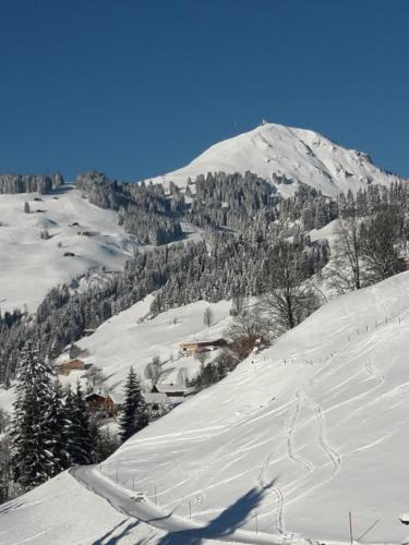a snow covered slope with a mountain in the background at Bergpension-Ebental in Brixen im Thale