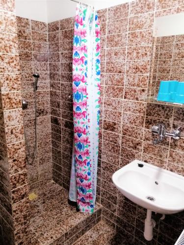 a bathroom with a shower and a sink at Penzion Adriana in Nové Mesto nad Váhom