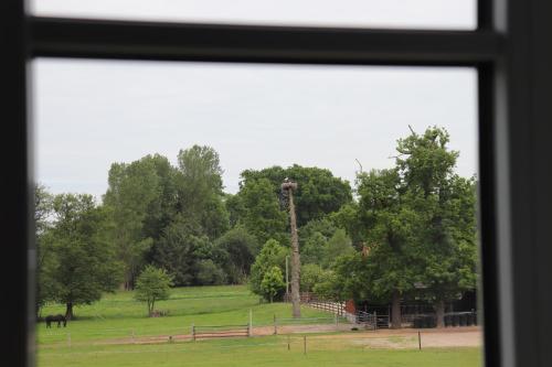 a view from a window of a field with a pole at Ferienwohnung Boskop in Stade